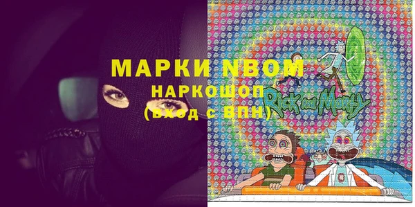 прущие грибы Корсаков