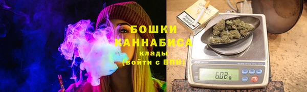 гидра Коряжма