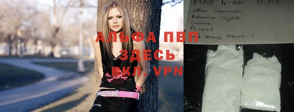гидра Коряжма