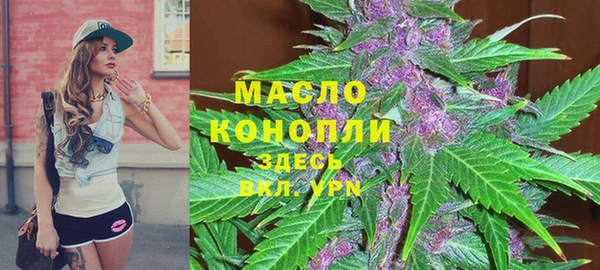 гидра Коряжма