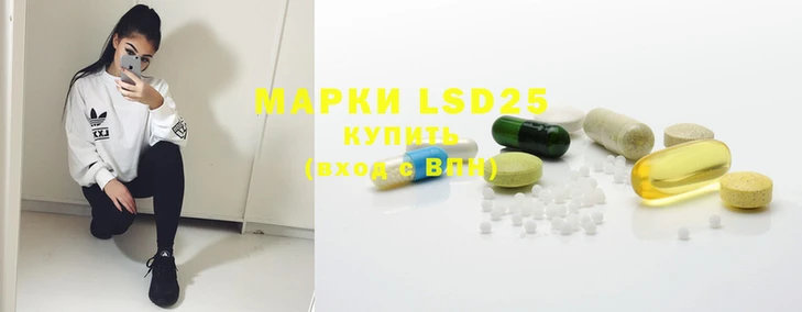 прущие грибы Корсаков