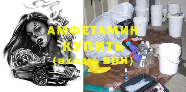 прущие грибы Корсаков