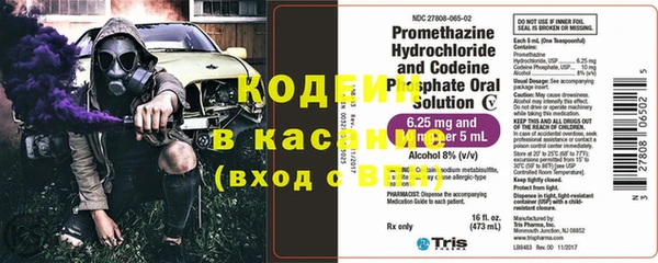 прущие грибы Корсаков