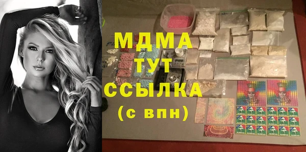 прущие грибы Корсаков