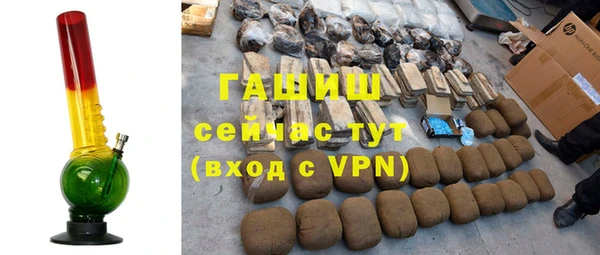 прущие грибы Корсаков