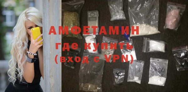прущие грибы Корсаков
