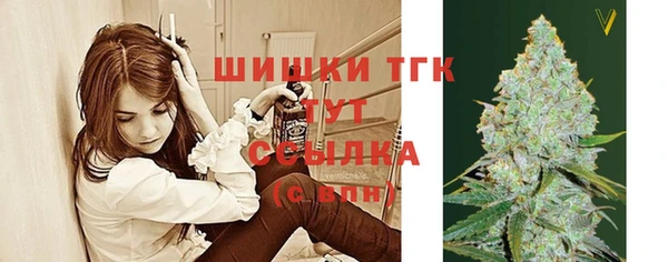 гидра Коряжма