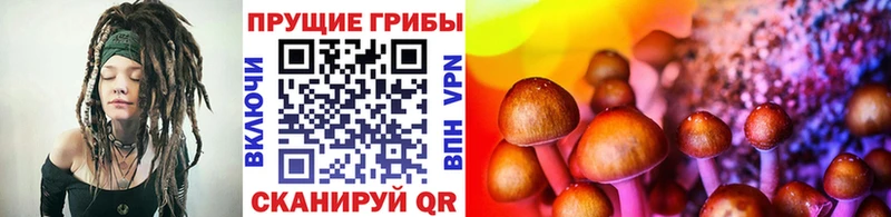 Галлюциногенные грибы MAGIC MUSHROOMS  Купить  Закаменск 